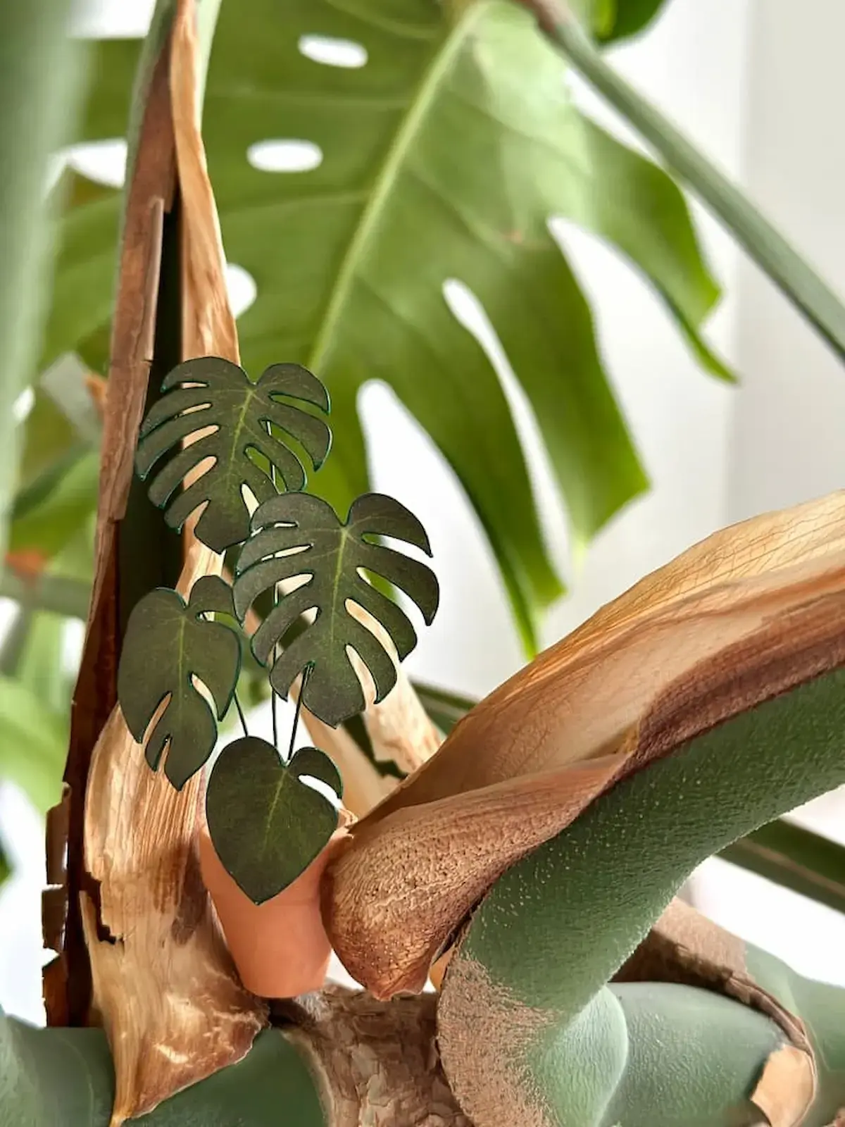 Mini paper Monstera nestled into a real plant stem