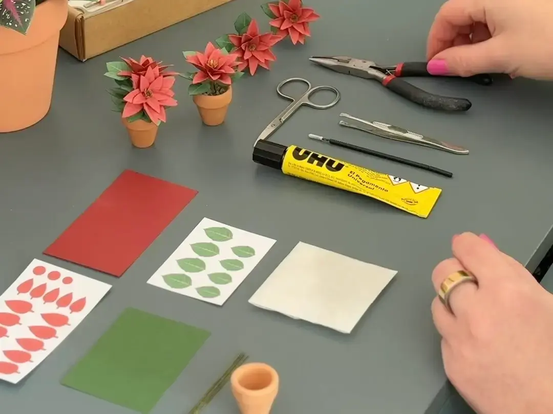 Poinsettia paper plant kit contents including tools and materials