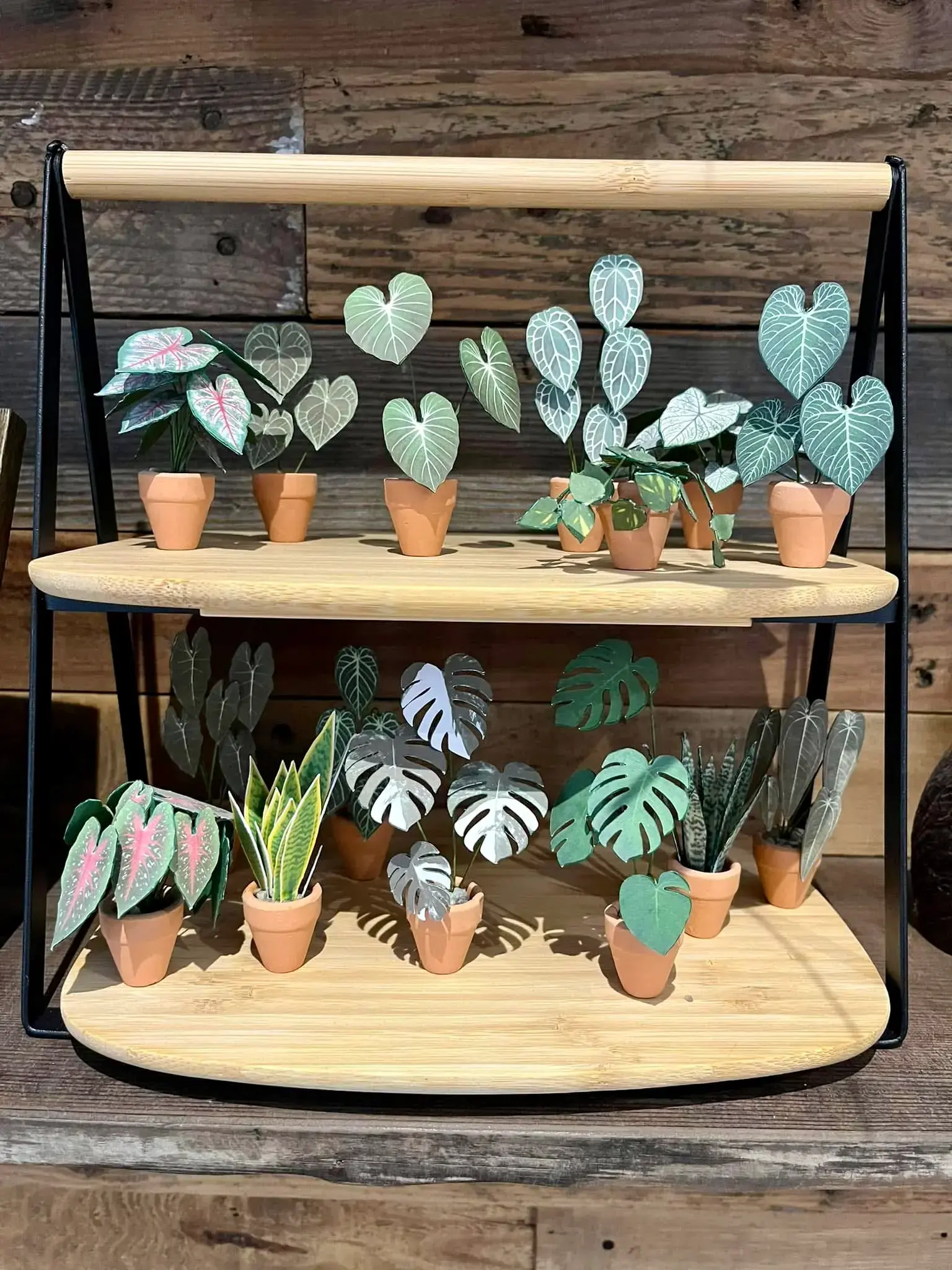 Nicole's Jungle paper plant collection photo 14