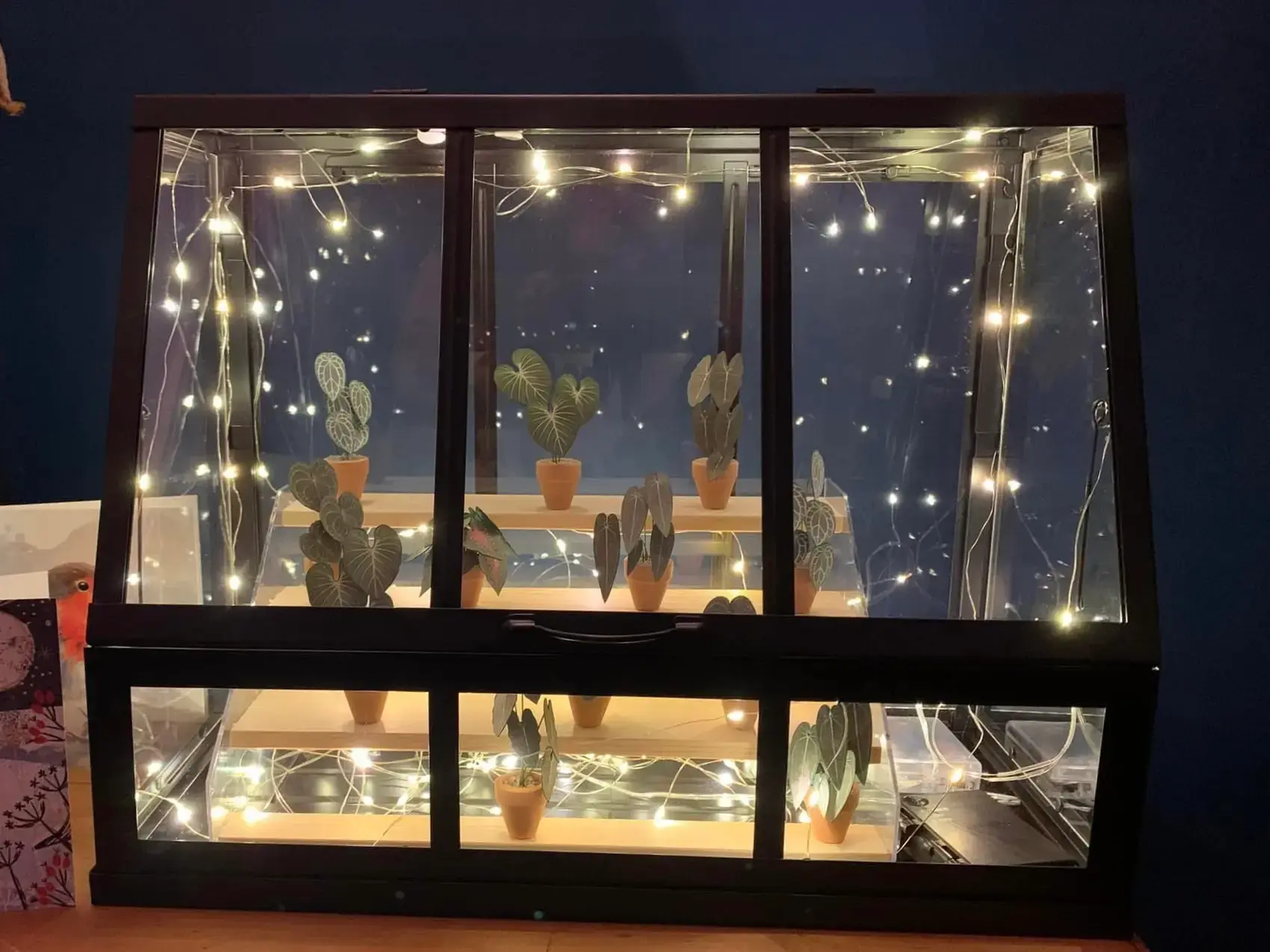 Nicole's Jungle paper plant collection photo 3