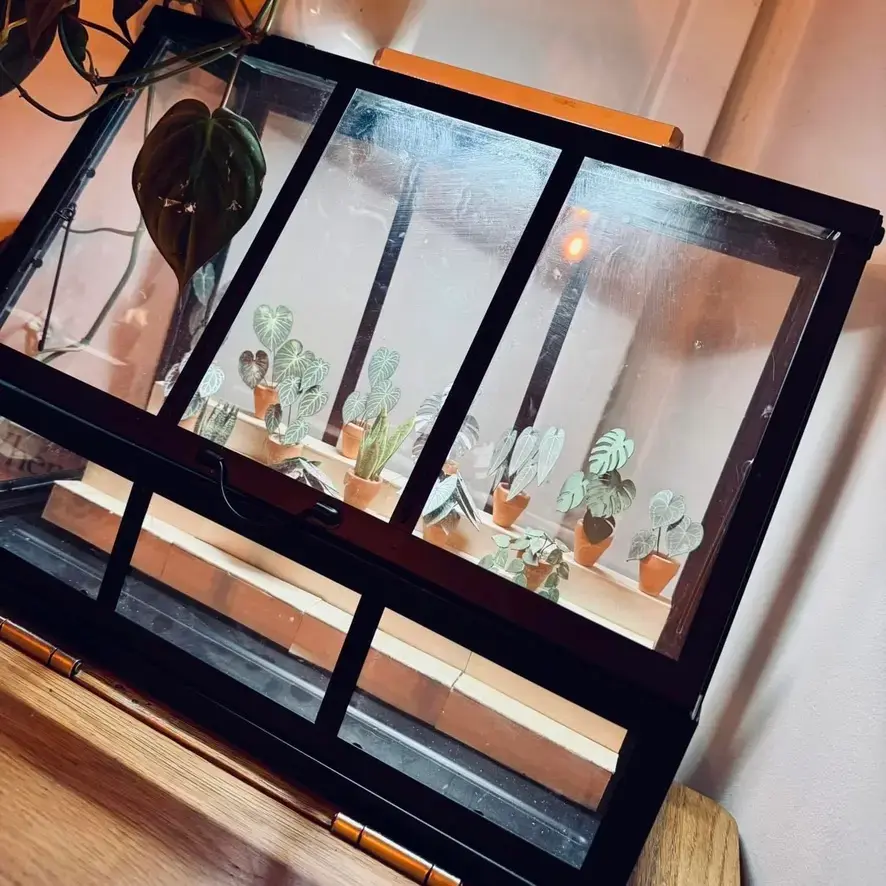 Nicole's Jungle paper plant collection photo 16