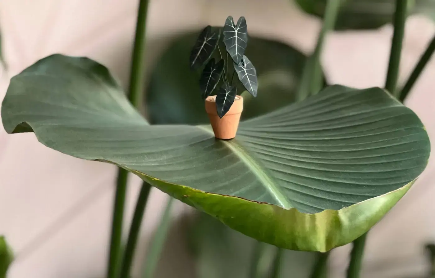 Miniature paper houseplants styled on a calm crafting surface