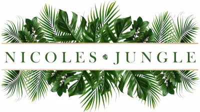Nicole's Jungle logo with illustrated tropical leaves inside a rectangular frame